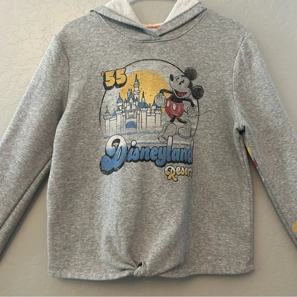 ⭐️Disney Parks Disneyland resort vintage look crop hooded sweatshirt size medium - Picture 2 of 16